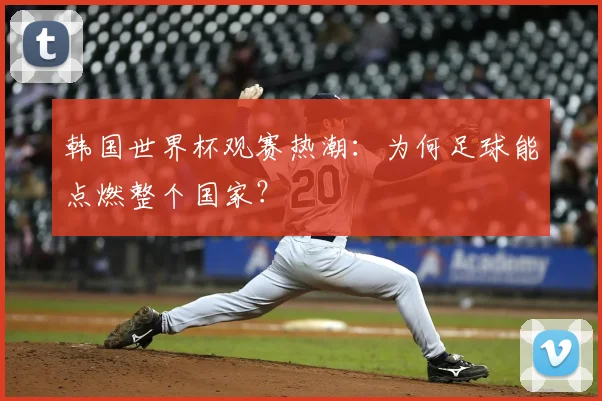 韩国世界杯观赛热潮：为何足球能点燃整个国家？