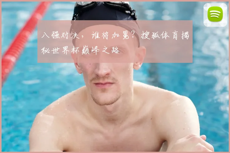 八强对决，谁将加冕？搜狐体育揭秘世界杯巅峰之路