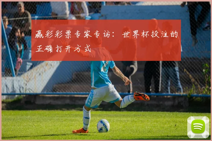 赢彩彩票专家专访:世界杯投注的正确打开方式