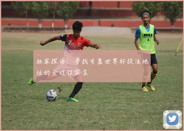 独家探访:寻找可靠世界杯投注地址的全过程实录
