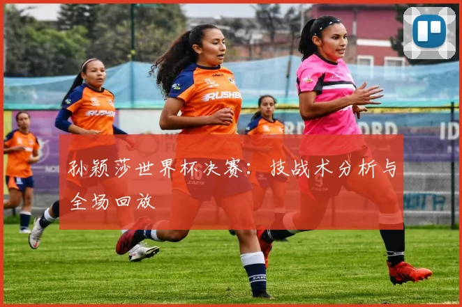 孙颖莎世界杯决赛：技战术分析与全场回放