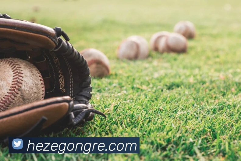 开元体育app官方网站平台生态图