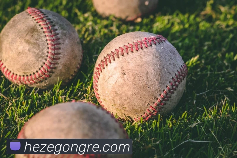 开元体育app官方网站全站App 开元体育app官方网站全站App